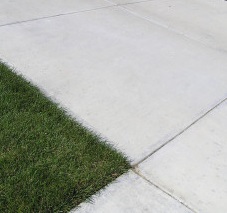 Professionally Cleaned Driveway